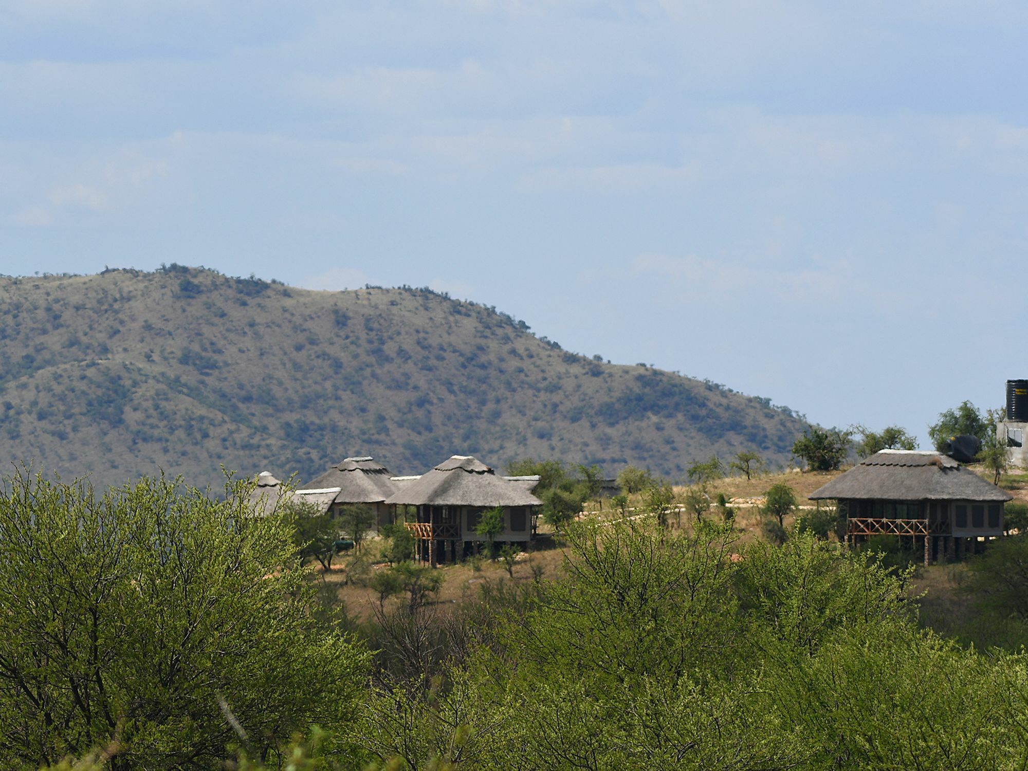Serengeti Safari Lodge 외부 사진